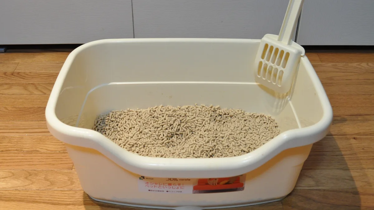 Litter Box Problems