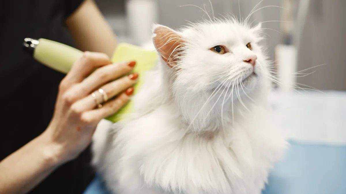 Grooming Long Hair