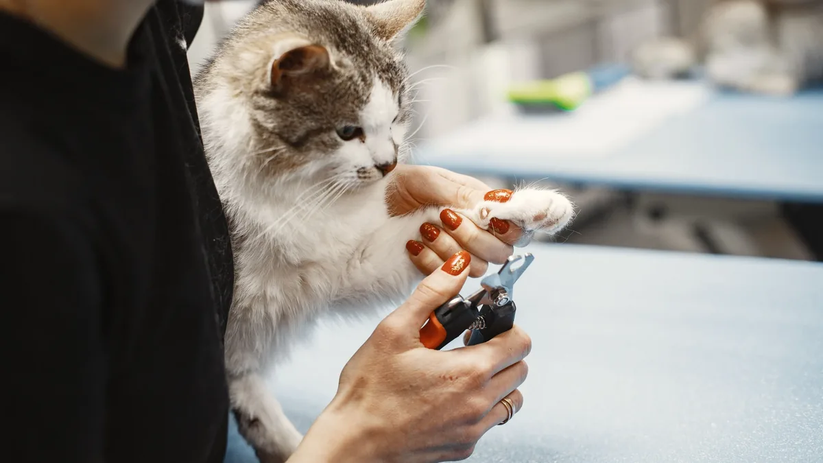 Nail Trimming