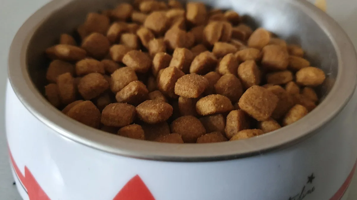 Reading A Cat Food Label