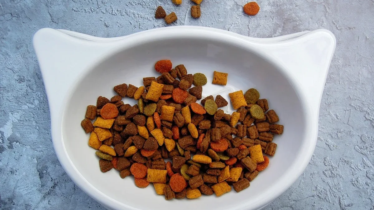 Wet Vs Dry Food