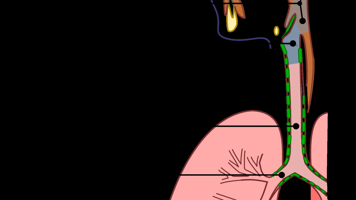 Upper Respiratory Infection